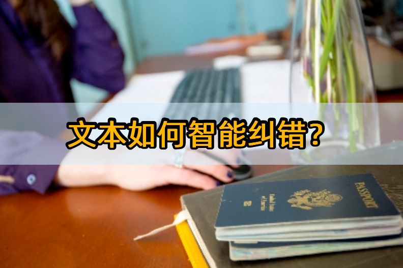 文本纠错